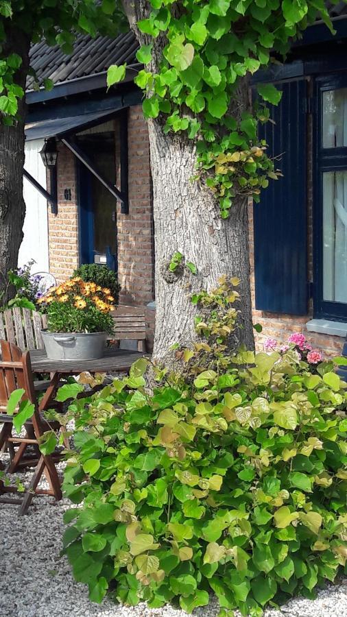 Huis De Roos De Kwakel Exteriér fotografie