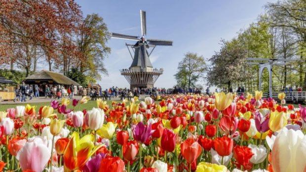 Huis De Roos De Kwakel Exteriér fotografie